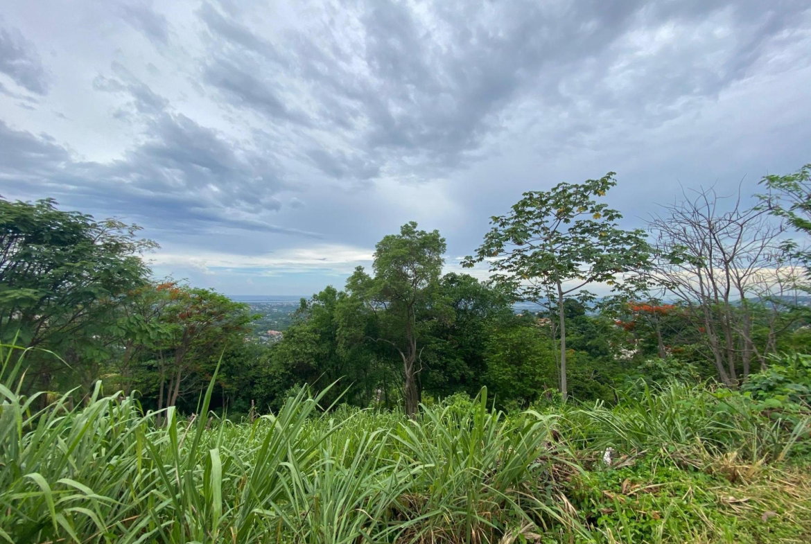 Twelfth image of 34 And 36 Hermitage Dam Road in Kingston 9, St. Andrew, Jamaica - property is For Sale