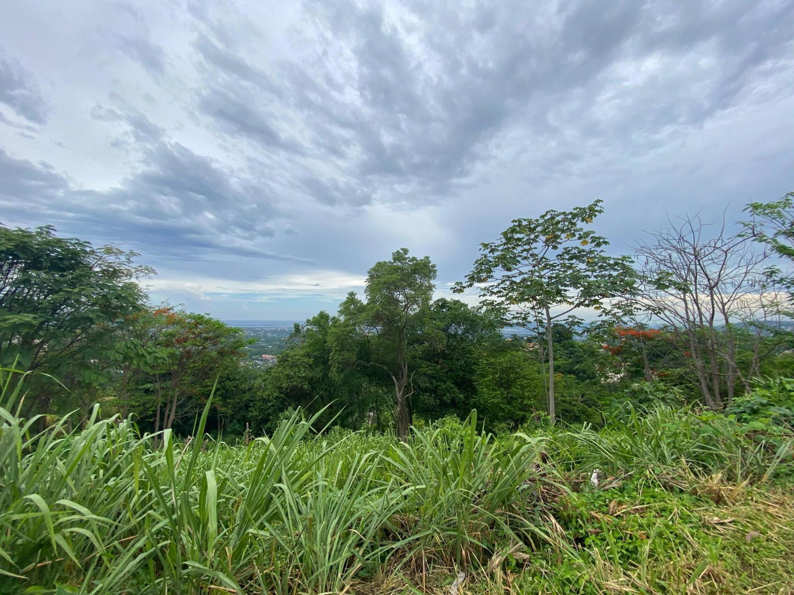 Twelfth image of 34 And 36 Hermitage Dam Road in Kingston 9, St. Andrew, Jamaica - property is For Sale