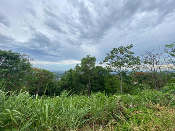 Twelfth image of 34 And 36 Hermitage Dam Road in Kingston 9, St. Andrew, Jamaica - property is For Sale