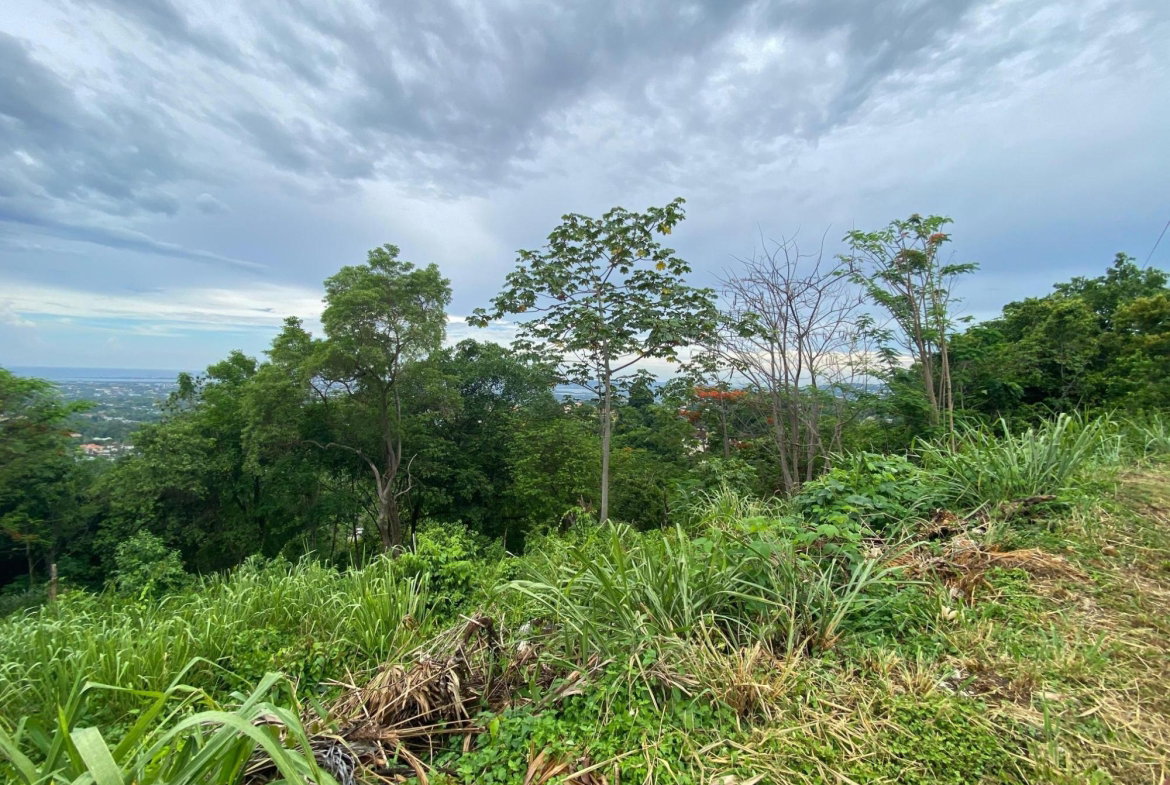 Thirteenth image of 34 And 36 Hermitage Dam Road in Kingston 9, St. Andrew, Jamaica - property is For Sale