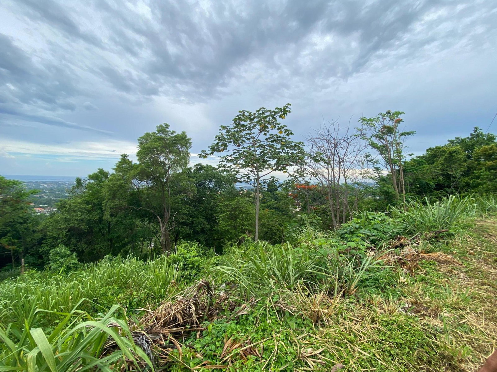 Thirteenth image of 34 And 36 Hermitage Dam Road in Kingston 9, St. Andrew, Jamaica - property is For Sale