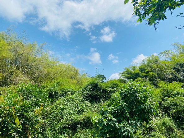 Second image of 178- Golden Spring in GOLDEN SPRING, St. Andrew, Jamaica - property is For Sale