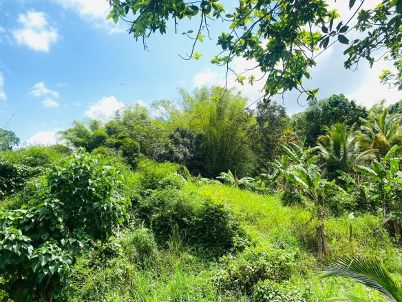 First image of 178- Golden Spring in GOLDEN SPRING, St. Andrew, Jamaica - property is For Sale
