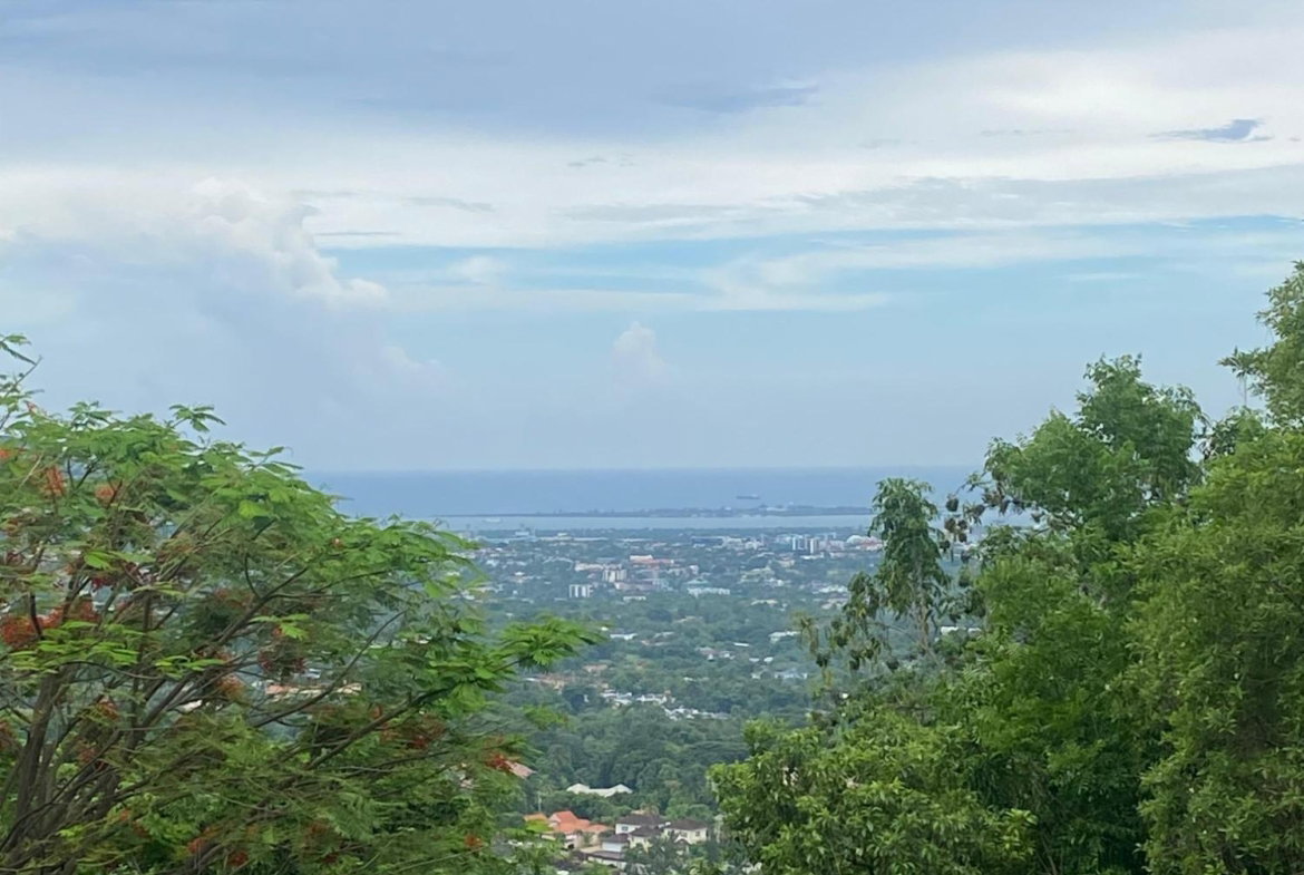 Sixteenth image of 34 And 36 Hermitage Dam Road in Kingston 9, St. Andrew, Jamaica - property is For Sale