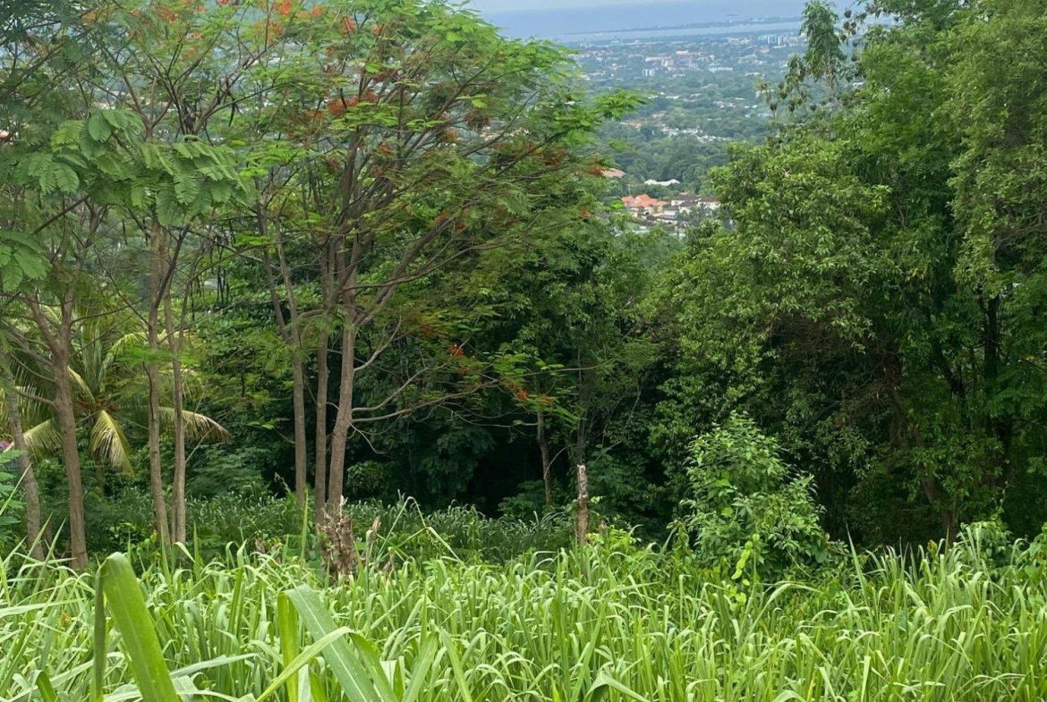 Eighteenth image of 34 And 36 Hermitage Dam Road in Kingston 9, St. Andrew, Jamaica - property is For Sale