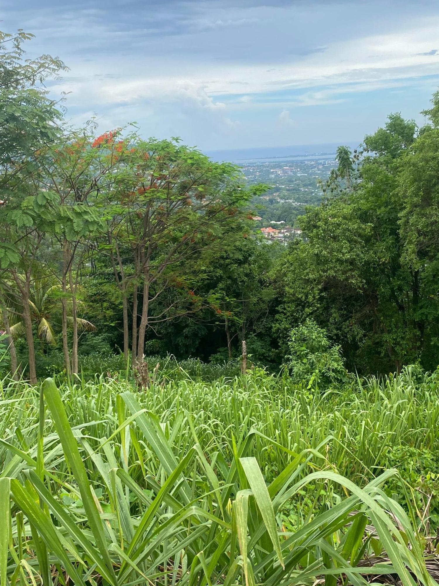 Eighteenth image of 34 And 36 Hermitage Dam Road in Kingston 9, St. Andrew, Jamaica - property is For Sale