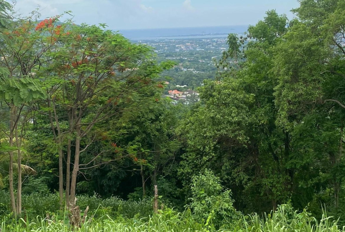 Nineteenth image of 34 And 36 Hermitage Dam Road in Kingston 9, St. Andrew, Jamaica - property is For Sale
