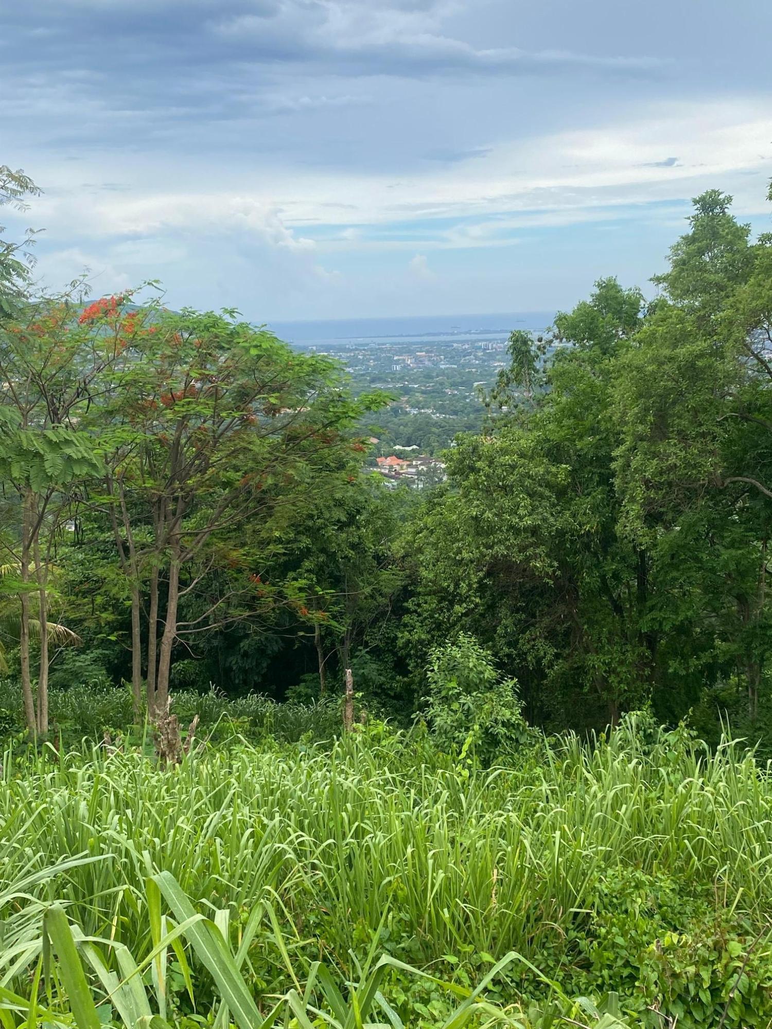 Nineteenth image of 34 And 36 Hermitage Dam Road in Kingston 9, St. Andrew, Jamaica - property is For Sale