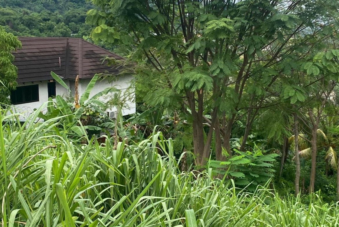 Twentieth image of 34 And 36 Hermitage Dam Road in Kingston 9, St. Andrew, Jamaica - property is For Sale