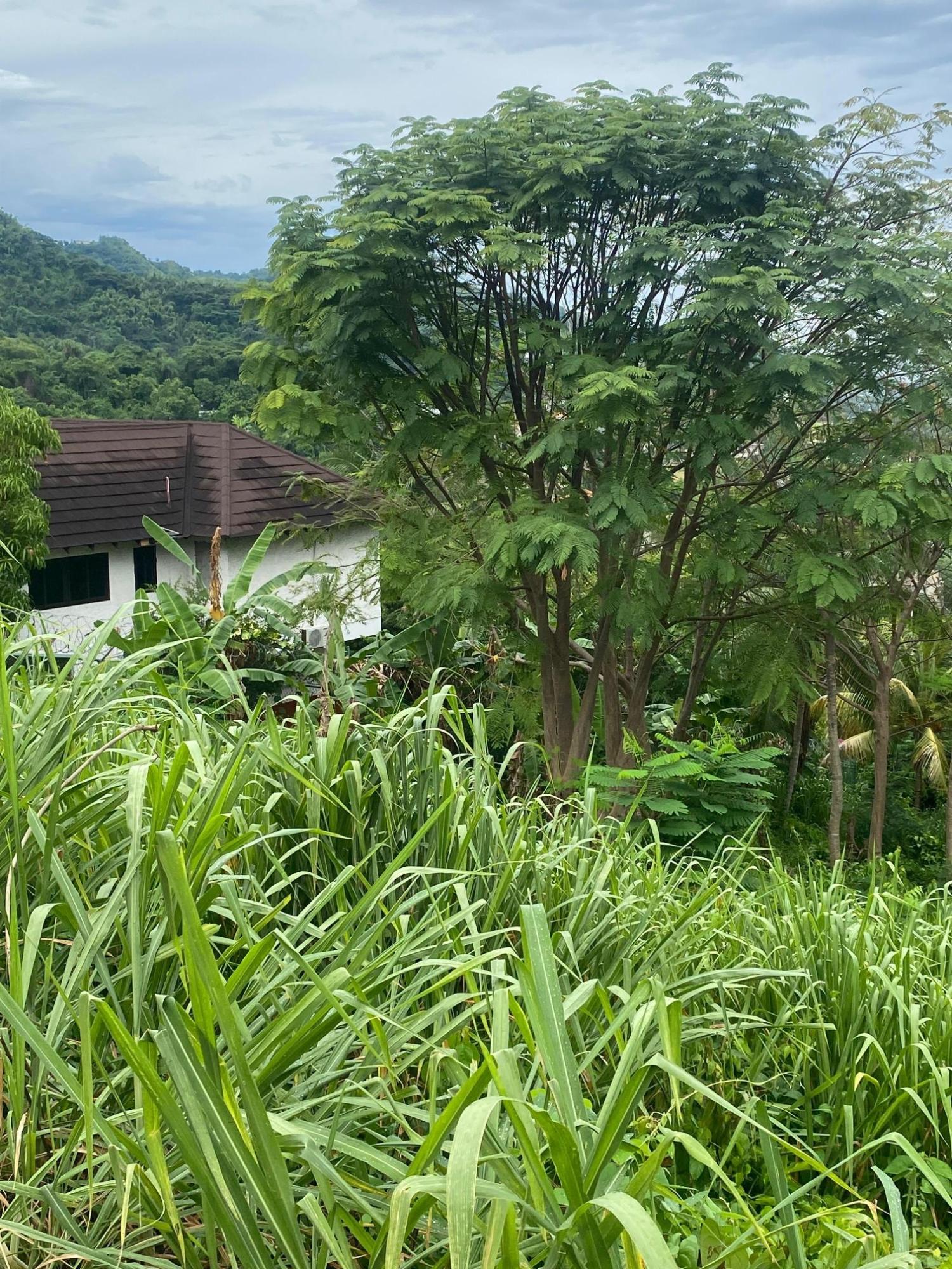 Twentieth image of 34 And 36 Hermitage Dam Road in Kingston 9, St. Andrew, Jamaica - property is For Sale