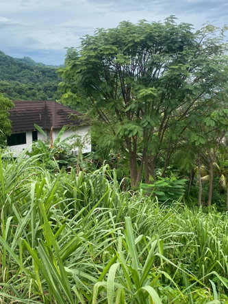 Twentieth image of 34 And 36 Hermitage Dam Road in Kingston 9, St. Andrew, Jamaica - property is For Sale