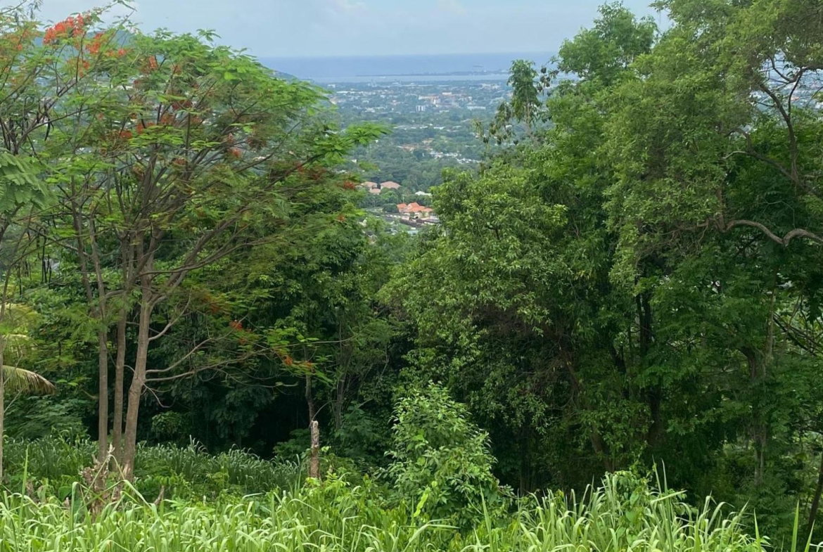 Twenty-First image of 34 And 36 Hermitage Dam Road in Kingston 9, St. Andrew, Jamaica - property is For Sale