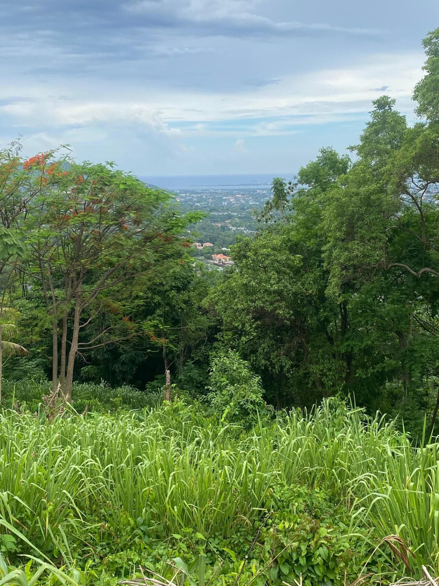 Twenty-First image of 34 And 36 Hermitage Dam Road in Kingston 9, St. Andrew, Jamaica - property is For Sale