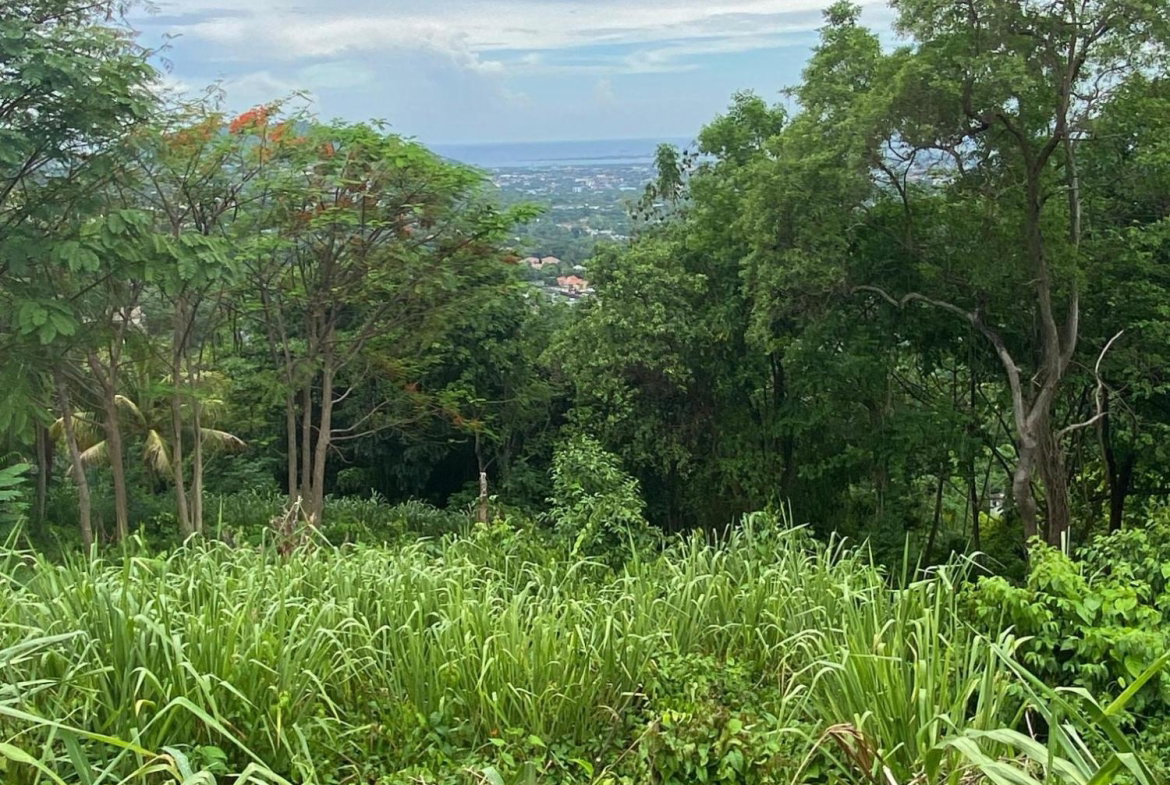 Twenty-Fourth image of 34 And 36 Hermitage Dam Road in Kingston 9, St. Andrew, Jamaica - property is For Sale