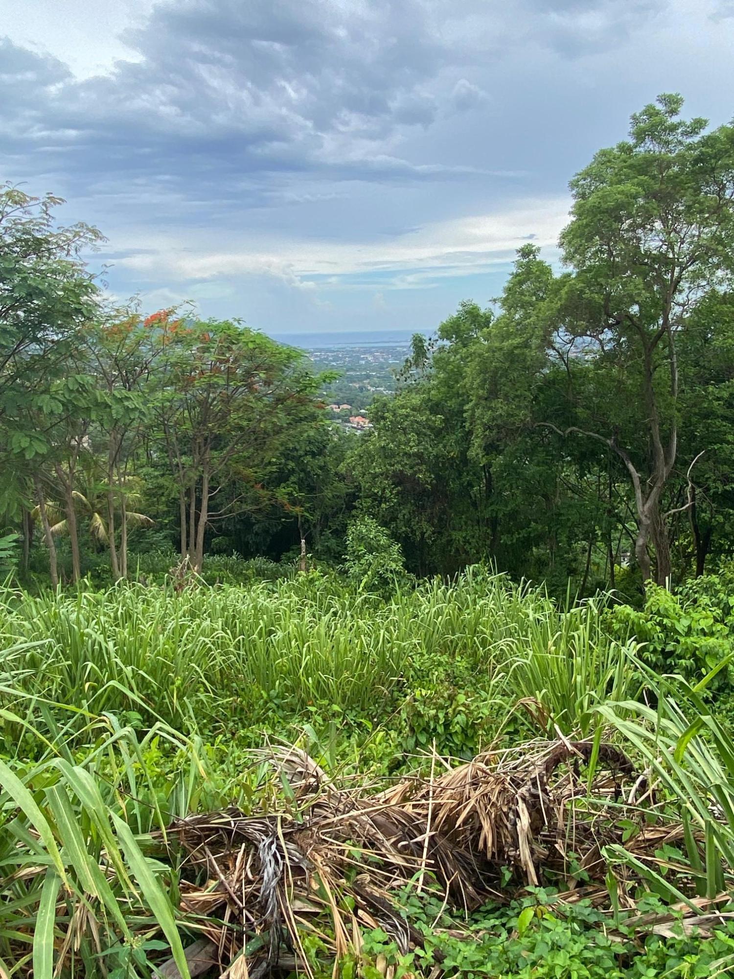 Twenty-Fourth image of 34 And 36 Hermitage Dam Road in Kingston 9, St. Andrew, Jamaica - property is For Sale