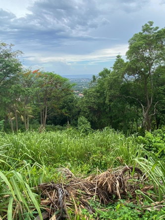 Twenty-Fourth image of 34 And 36 Hermitage Dam Road in Kingston 9, St. Andrew, Jamaica - property is For Sale