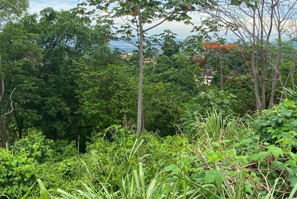 Twenty-Fifth image of 34 And 36 Hermitage Dam Road in Kingston 9, St. Andrew, Jamaica - property is For Sale