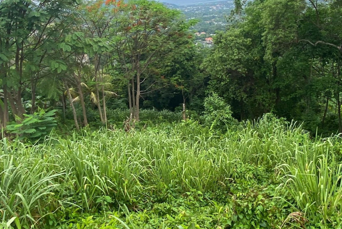 Twenty-Sixth image of 34 And 36 Hermitage Dam Road in Kingston 9, St. Andrew, Jamaica - property is For Sale