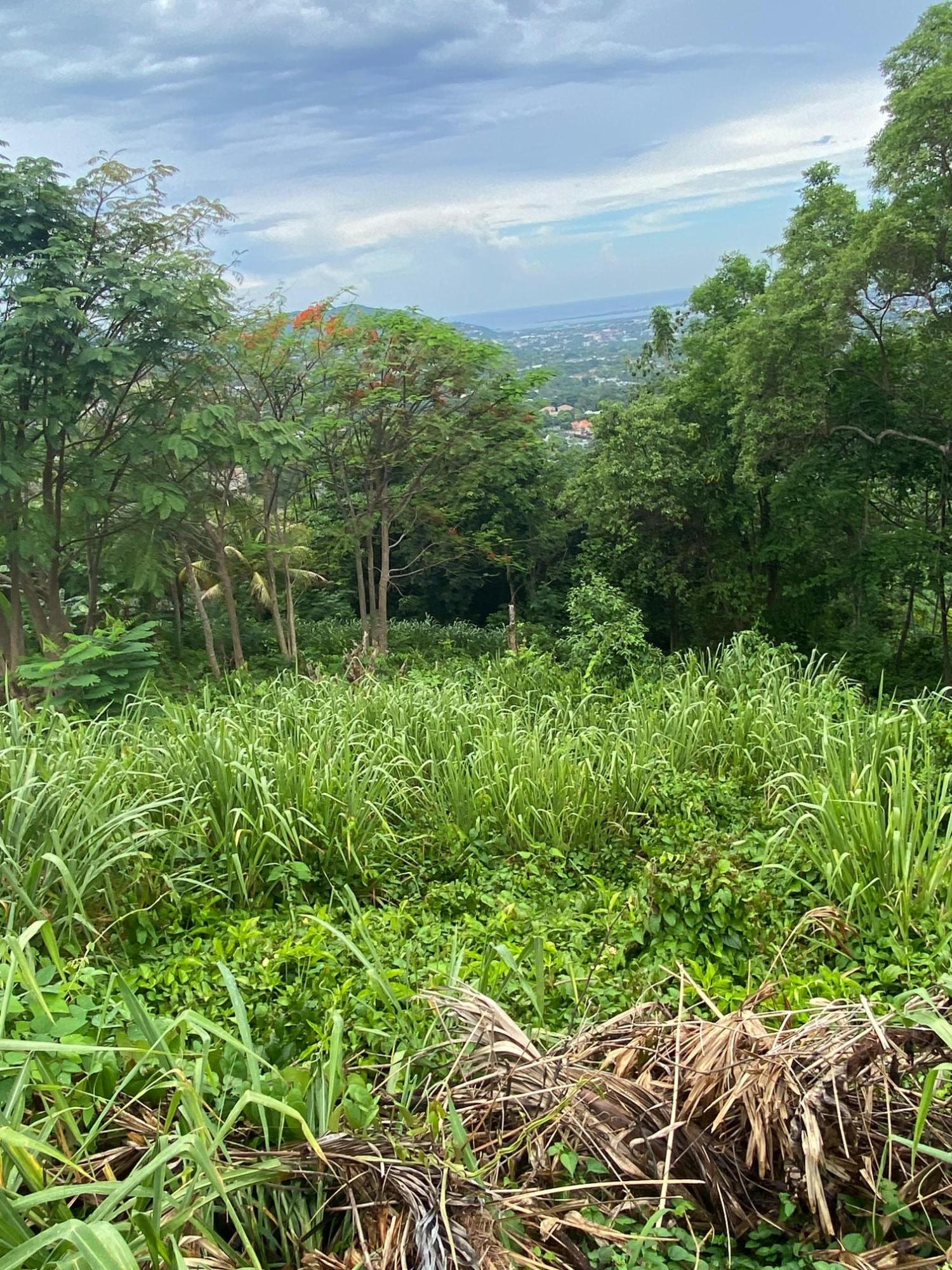 Twenty-Sixth image of 34 And 36 Hermitage Dam Road in Kingston 9, St. Andrew, Jamaica - property is For Sale