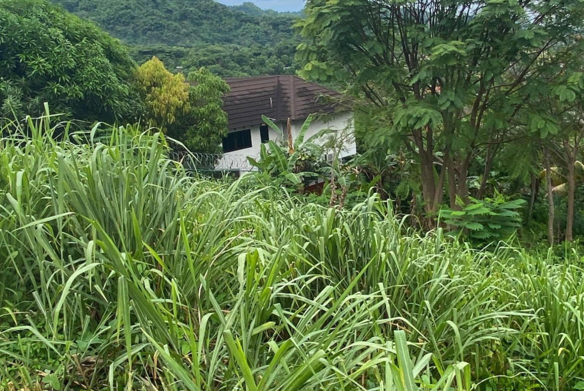 Twenty-Seventh image of 34 And 36 Hermitage Dam Road in Kingston 9, St. Andrew, Jamaica - property is For Sale