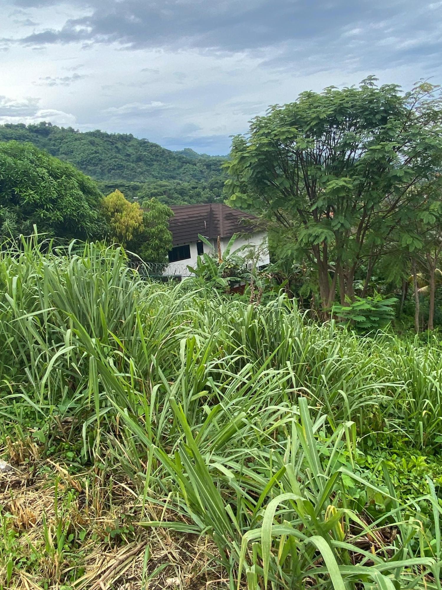 Twenty-Seventh image of 34 And 36 Hermitage Dam Road in Kingston 9, St. Andrew, Jamaica - property is For Sale