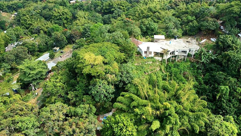 Second image of Jack's Hill Road in Kingston 6, St. Andrew, Jamaica - property is For Sale