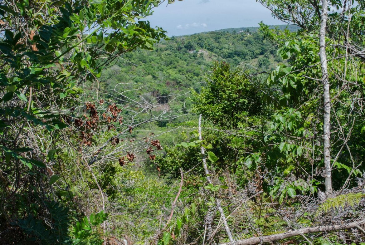 Third image of Lot 1 & 2 Sussex in St. Ann's Bay, St. Ann, Jamaica - property is For Sale