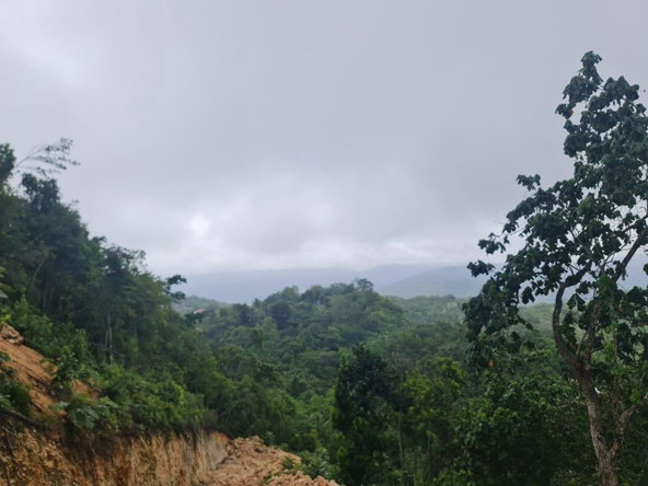 Third image of 5- Mount Pelier in Montpelier House, St. Catherine, Jamaica - property is For Sale