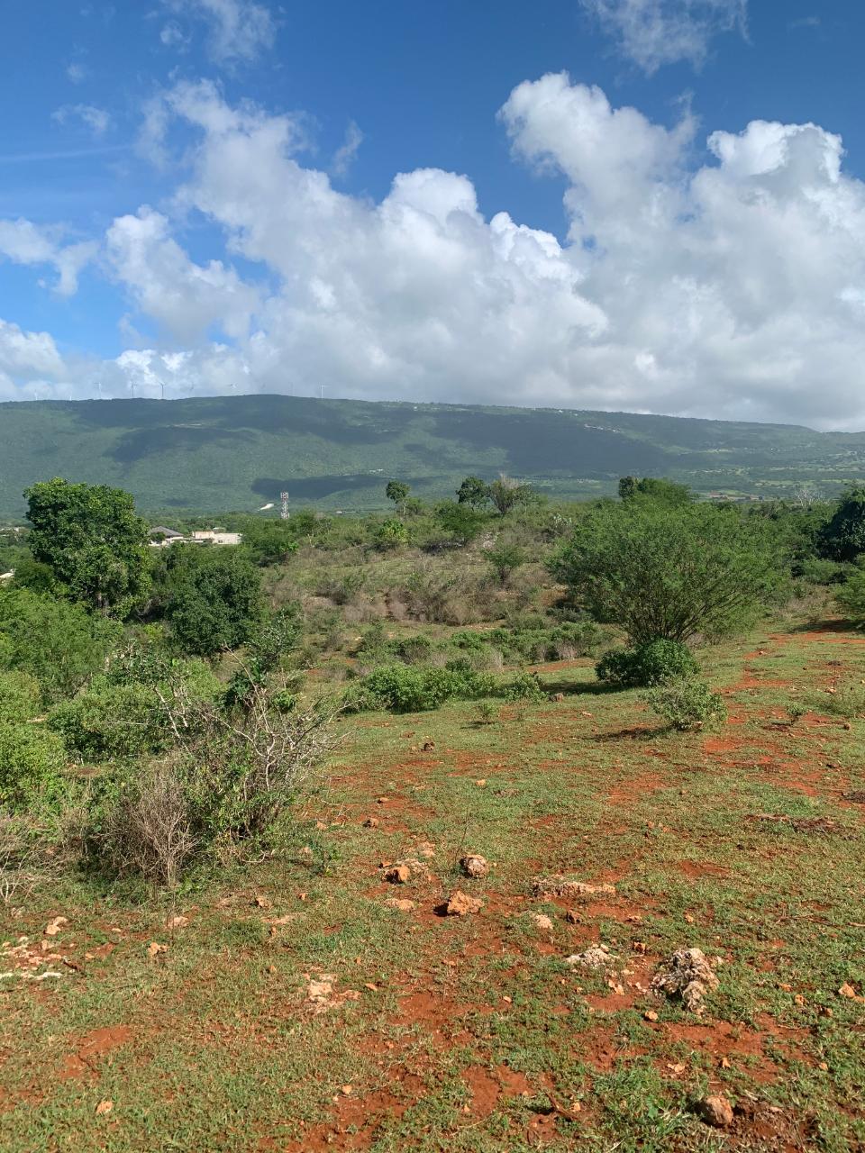 Second image of Land Watchwell, st Elizabeth in Watchwell, St. Elizabeth, Jamaica - property is For Sale