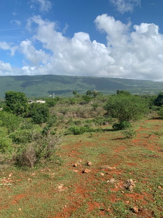 Second image of Land Watchwell, st Elizabeth in Watchwell, St. Elizabeth, Jamaica - property is For Sale