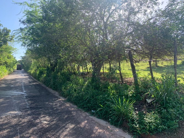 Third image of Land Watchwell, st Elizabeth in Watchwell, St. Elizabeth, Jamaica - property is For Sale