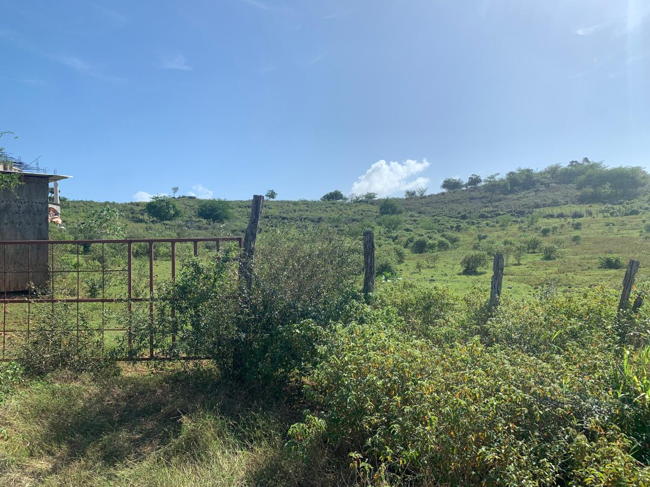 Fourth image of Land Watchwell, st Elizabeth in Watchwell, St. Elizabeth, Jamaica - property is For Sale