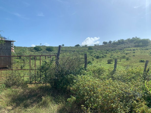 Fourth image of Land Watchwell, st Elizabeth in Watchwell, St. Elizabeth, Jamaica - property is For Sale