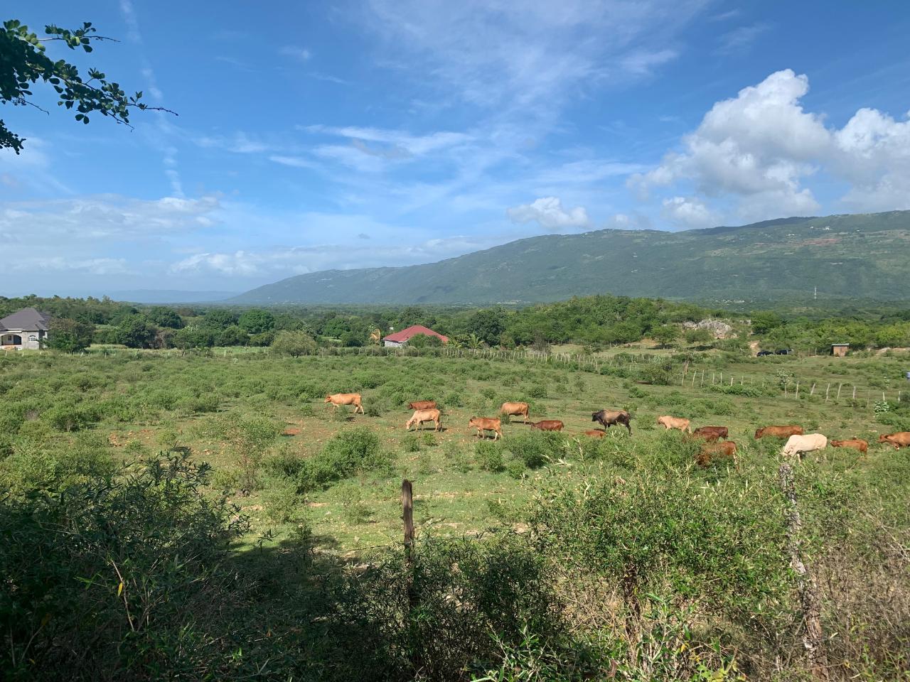 Sixth image of Land Watchwell, st Elizabeth in Watchwell, St. Elizabeth, Jamaica - property is For Sale