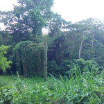 First image of Retirement in Granville, St. James, Jamaica - property is For Sale