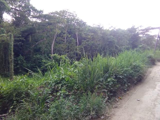 Fourth image of Retirement in Granville, St. James, Jamaica - property is For Sale