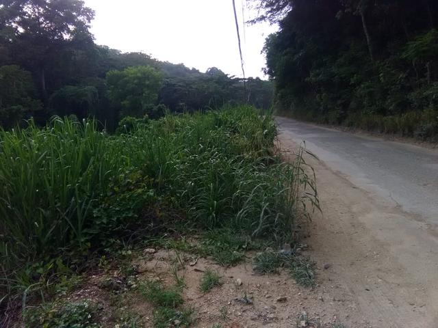 Fifth image of Retirement in Granville, St. James, Jamaica - property is For Sale