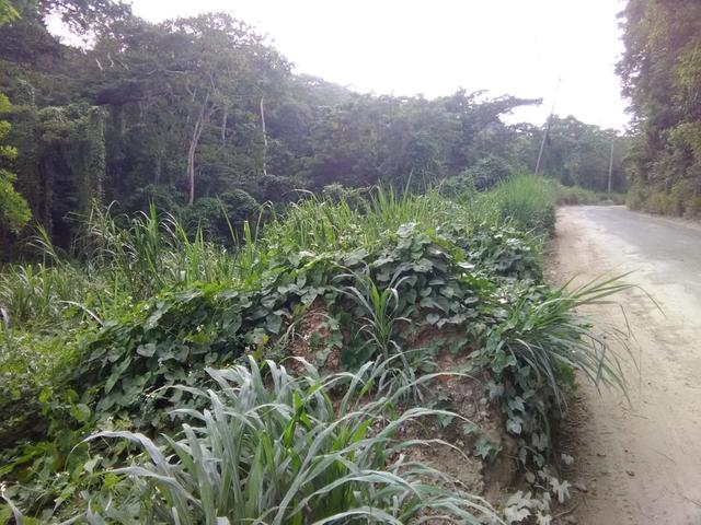Eighth image of Retirement in Granville, St. James, Jamaica - property is For Sale
