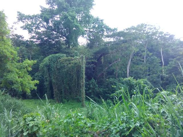 First image of Retirement in Granville, St. James, Jamaica - property is For Sale