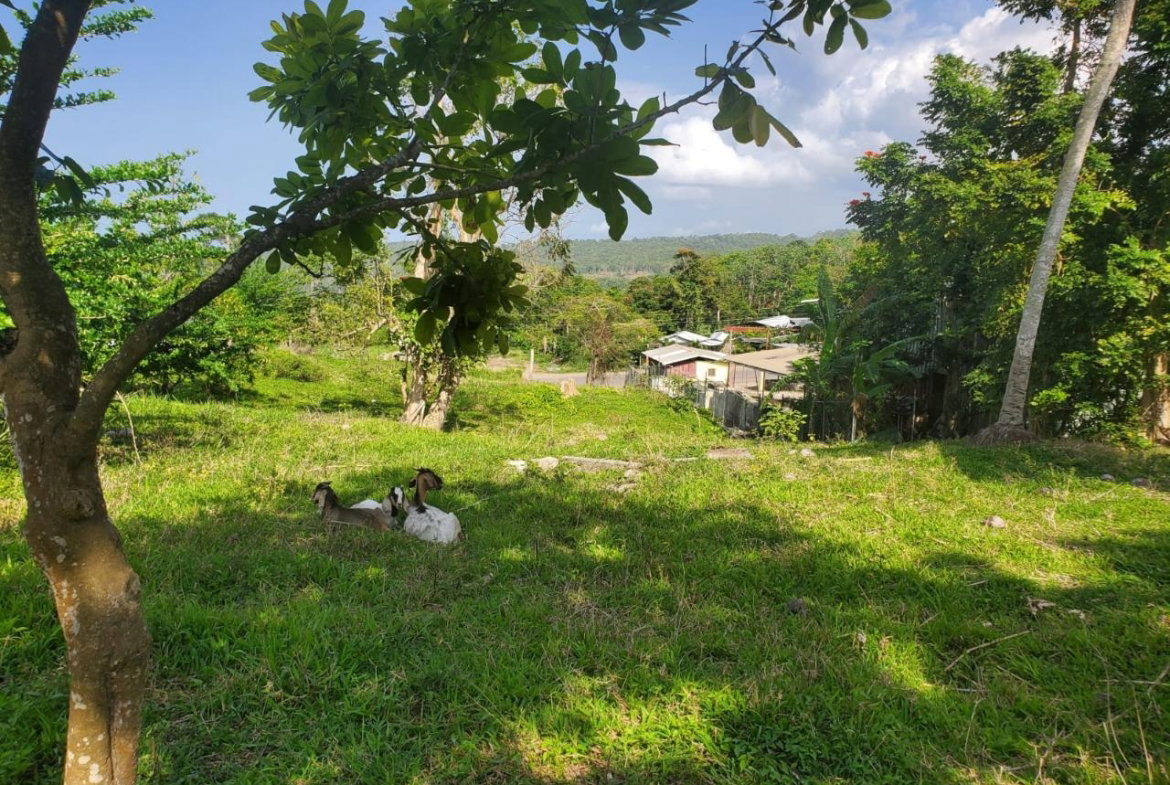 Fourth image of 5 Highgate in Highgate, St. Mary, Jamaica - property is For Sale