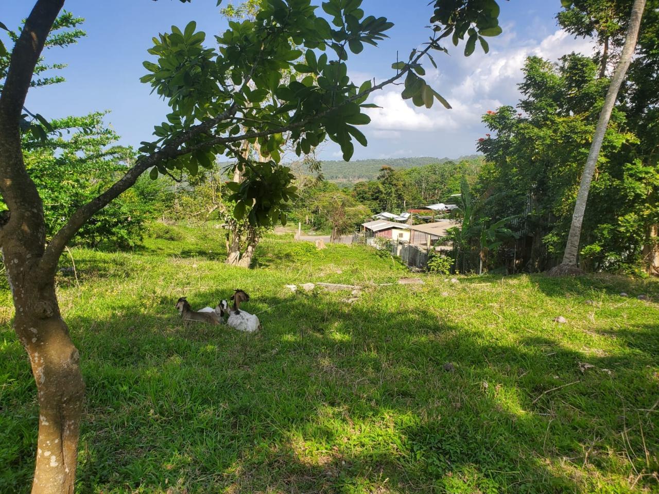 Fourth image of 5 Highgate in Highgate, St. Mary, Jamaica - property is For Sale