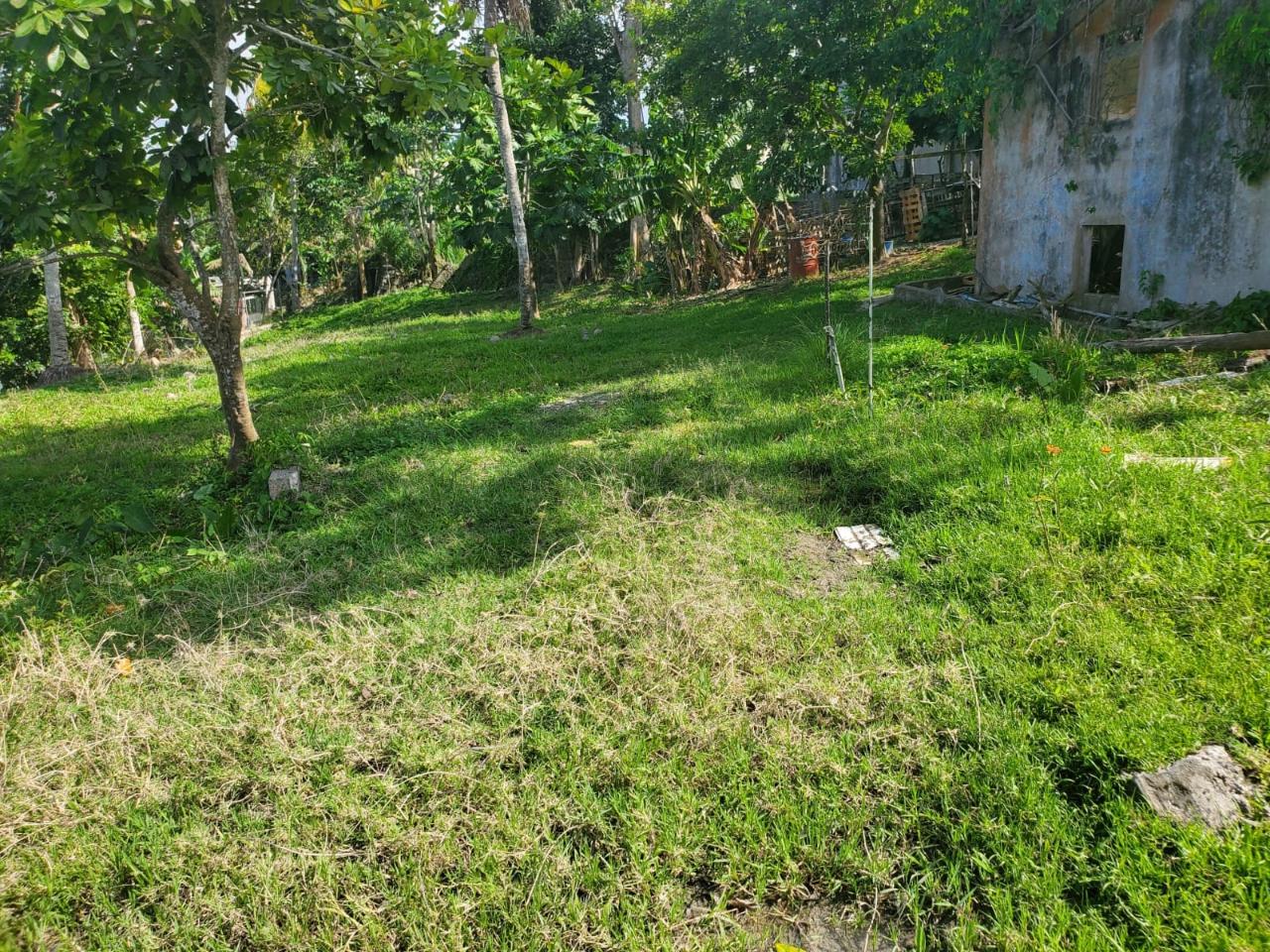 Fifth image of 5 Highgate in Highgate, St. Mary, Jamaica - property is For Sale