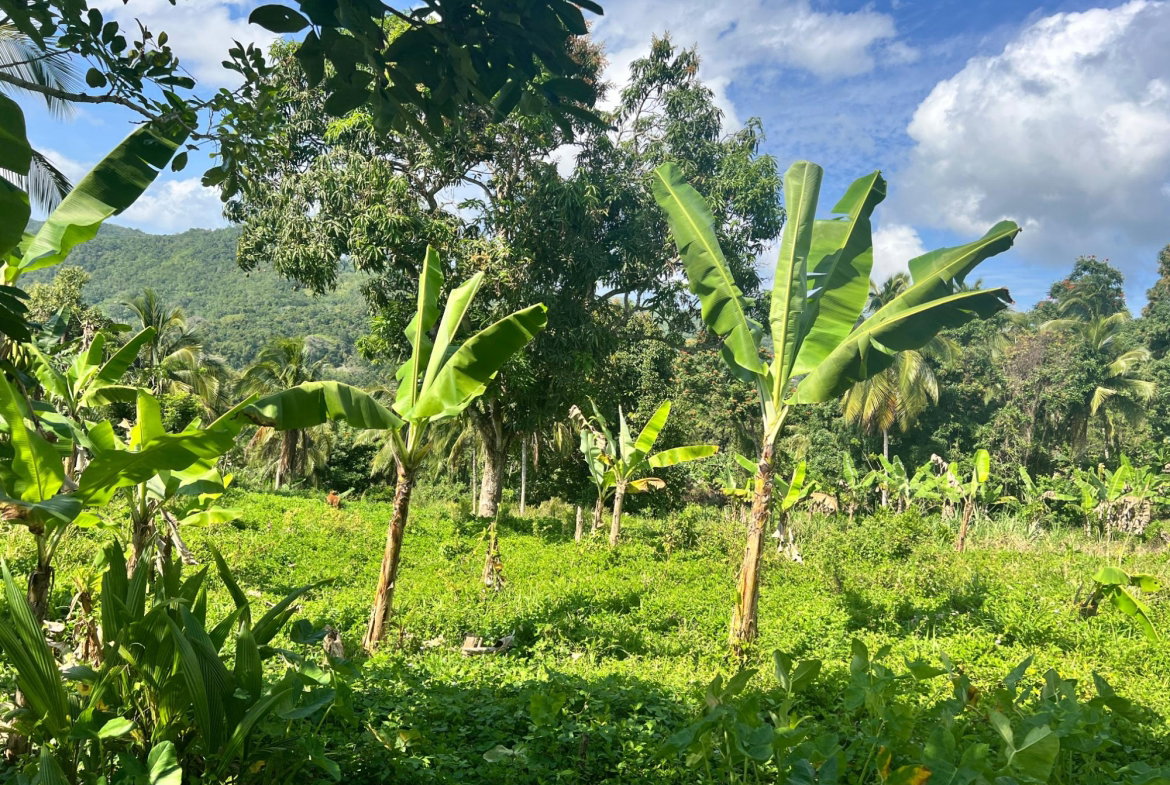 First image of Dressikie pa in Lambkin Hill, St. Mary, Jamaica - property is For Sale