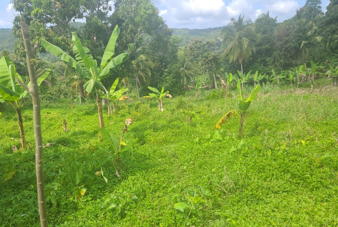Fifth image of Dressikie pa in Lambkin Hill, St. Mary, Jamaica - property is For Sale