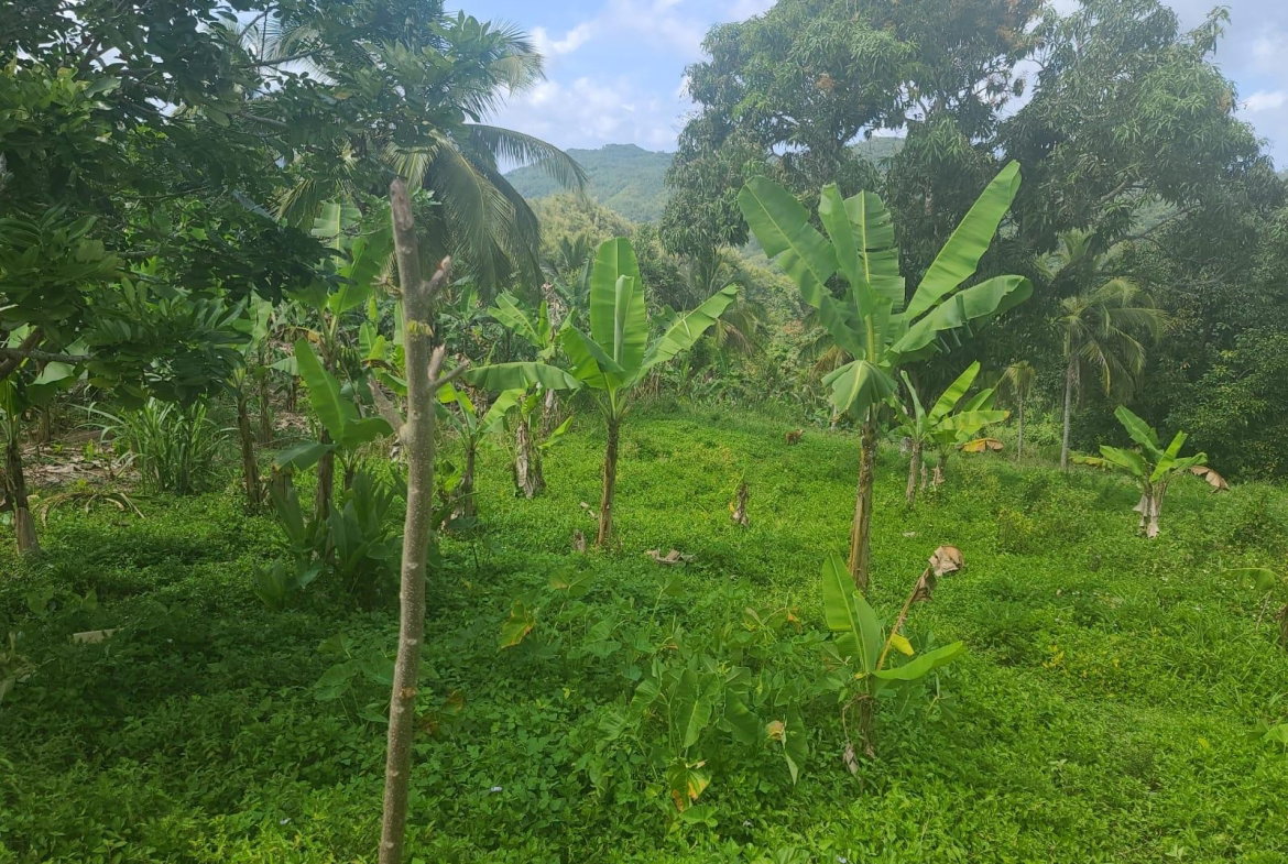Sixth image of Dressikie pa in Lambkin Hill, St. Mary, Jamaica - property is For Sale