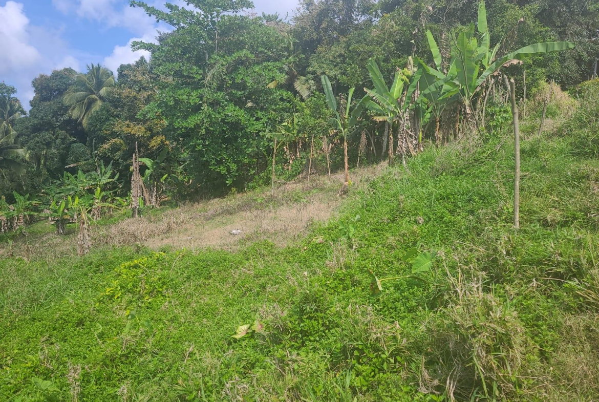 Seventh image of Dressikie pa in Lambkin Hill, St. Mary, Jamaica - property is For Sale