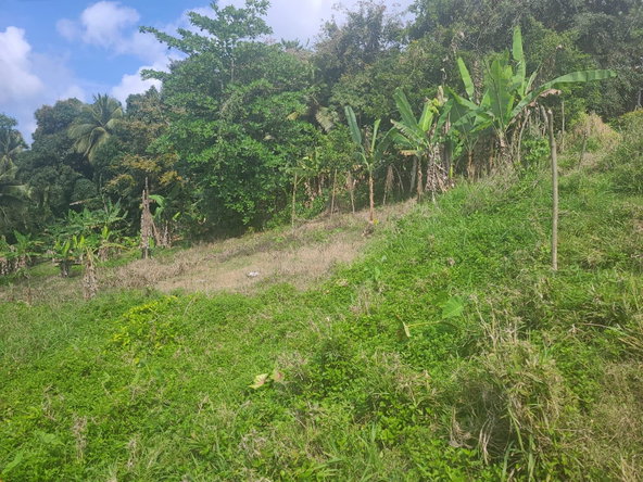 Seventh image of Dressikie pa in Lambkin Hill, St. Mary, Jamaica - property is For Sale