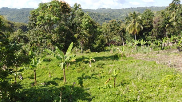 Eighth image of Dressikie pa in Lambkin Hill, St. Mary, Jamaica - property is For Sale