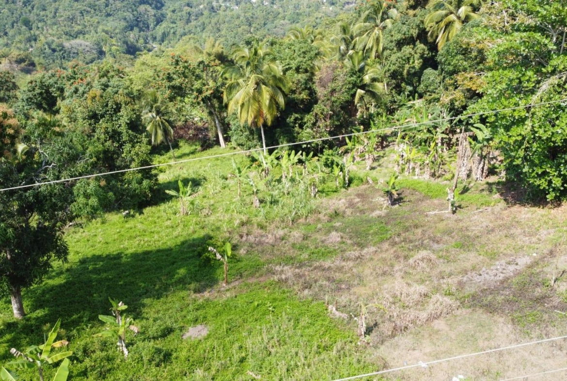 Ninth image of Dressikie pa in Lambkin Hill, St. Mary, Jamaica - property is For Sale
