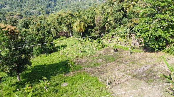 Ninth image of Dressikie pa in Lambkin Hill, St. Mary, Jamaica - property is For Sale